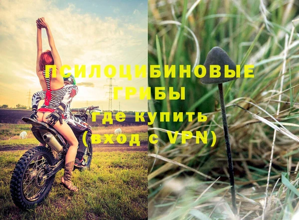 амфетамин Богданович