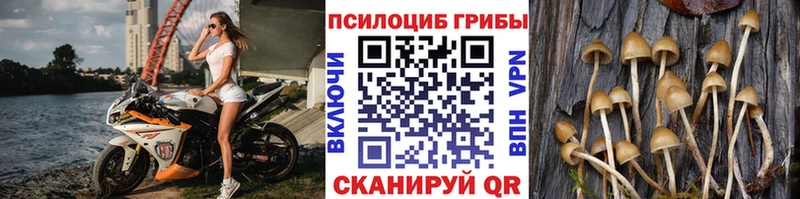 сайты даркнета телеграм  Кириллов  Галлюциногенные грибы Psilocybine cubensis  купить закладку 